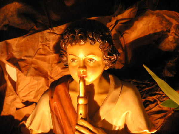 Presepe (6)