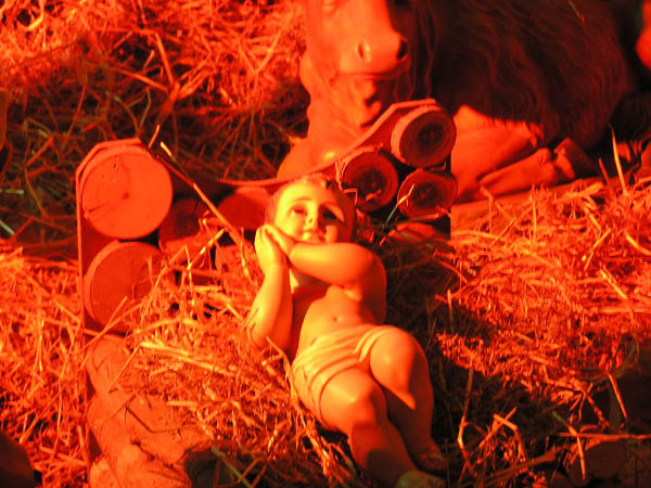 Presepe (8)